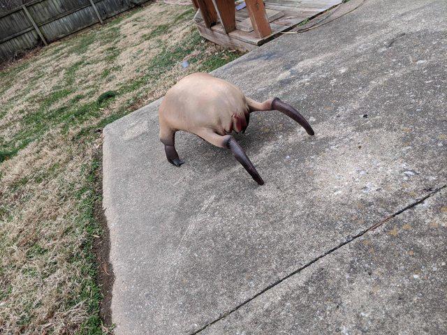 Headcrab in 8 Pieces (Life-Sized!)