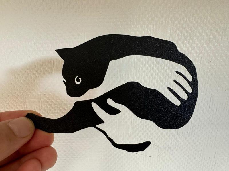 Cat in hand