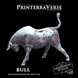 004 ANIMAL Raging Bull