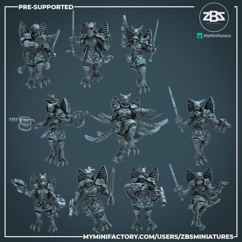 Adepts of Asmodeus Valkyries - Unit No.2