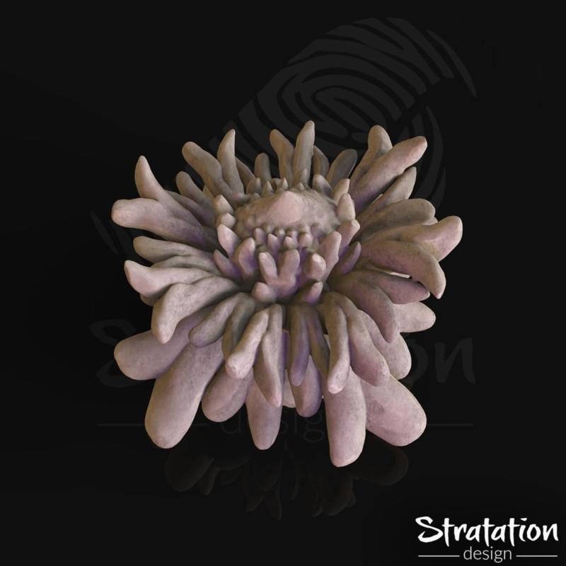 Abyssal Water Lily - V1