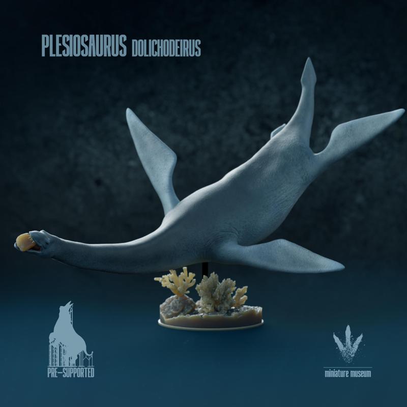 Plesiosaurus dolichodeirus : The marine long-neck