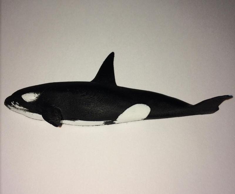killer whale