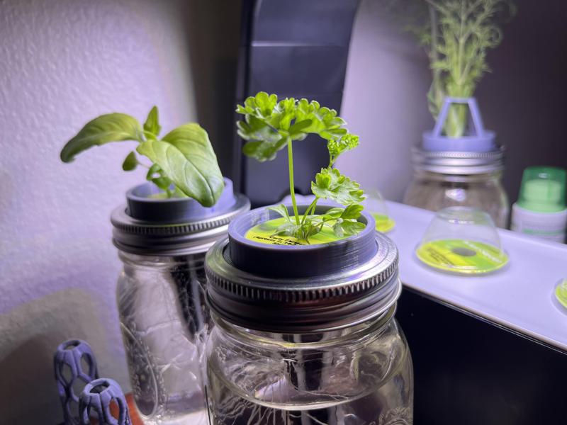 AeroJar (Without Plant Support)