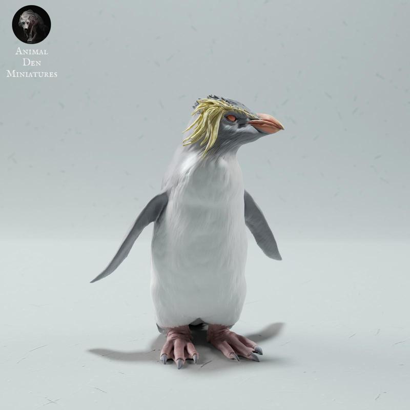 Rockhopper Penguin