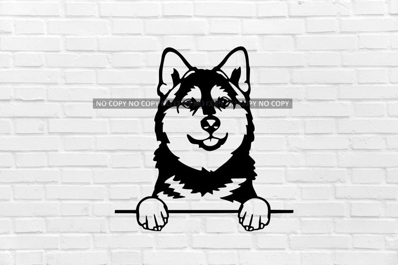 Pomsky dog wall decoration