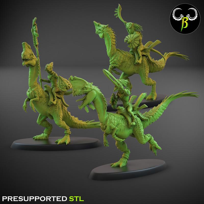 Nova Rider Leader Set