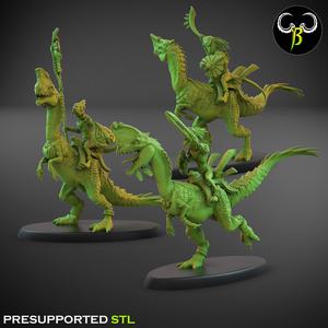 Nova Rider Leader Set