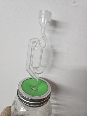 Mason Jar Airlock Insert