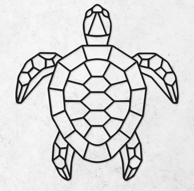 geometric turtle 