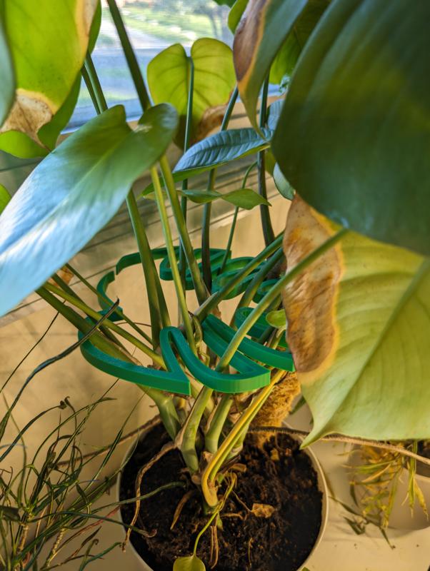 Plant holder monstera leaf shape