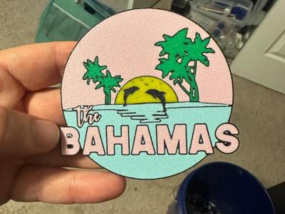 Bahamas Dolphin Magnet