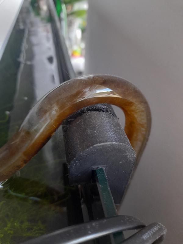 The hose adapter goes through the top of the aquarium