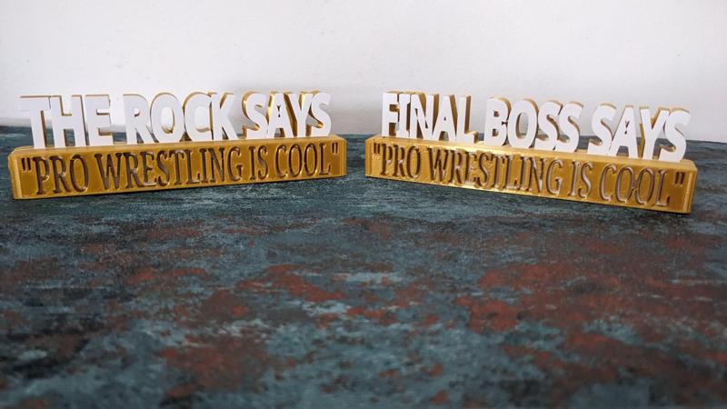 Wrestling is Cool Desk sign