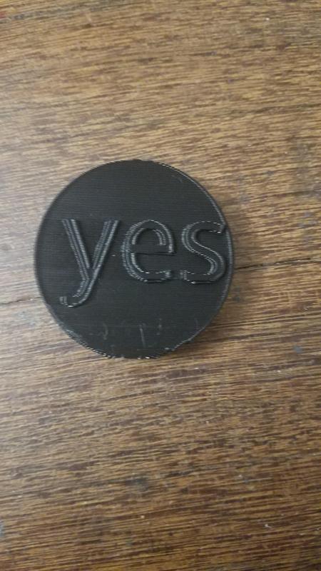 yes/no coin