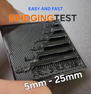 Bridging Test- Fast and Easy