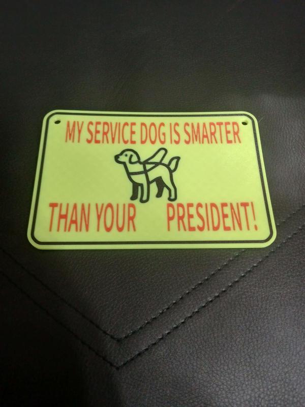 My Service Dog Is Smarter 