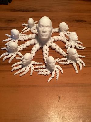 OctoRocktopus 