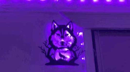 Wolf - wall light box