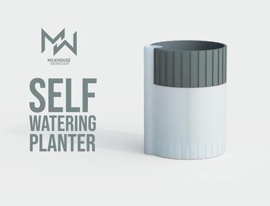 Self watering Planter