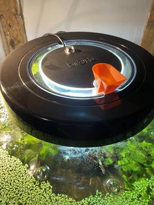 Feeding funnels for BiOrb Aquariums