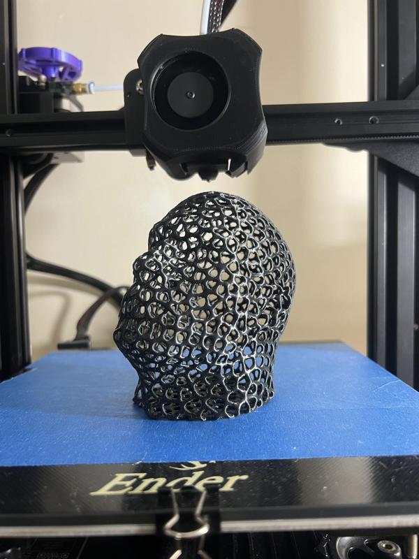 The Vorock - Voronoi The Rock Head