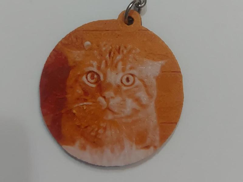 Hueforge Cat - Hueforge Gatto