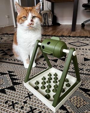 Cat Toy Base Plate with separate Nobbles