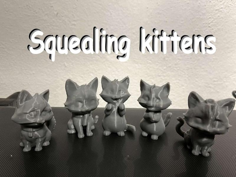 Begging, Squealing kittens, cats