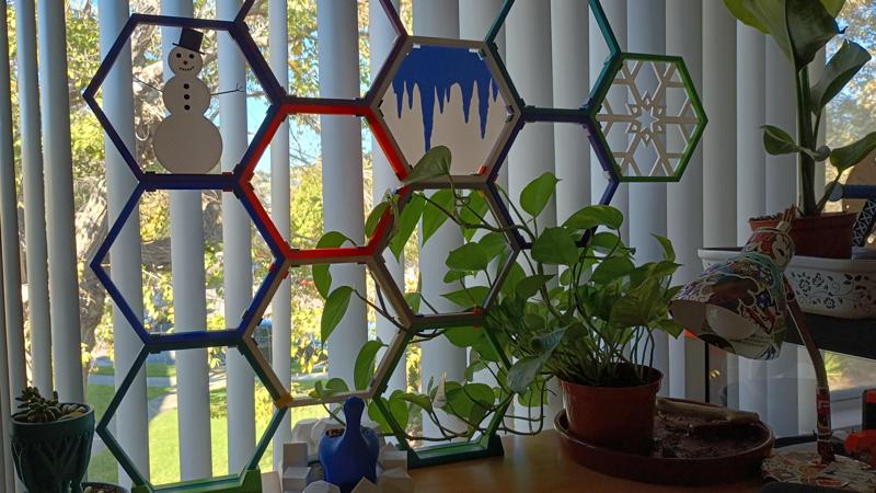 Clip Together Trellis / Plant Ladder Hexagons