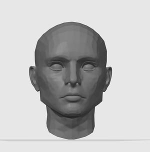 low poly head
