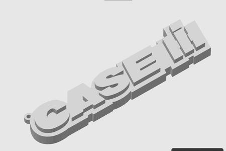 CASE Keychain