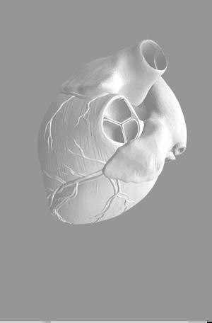 heart