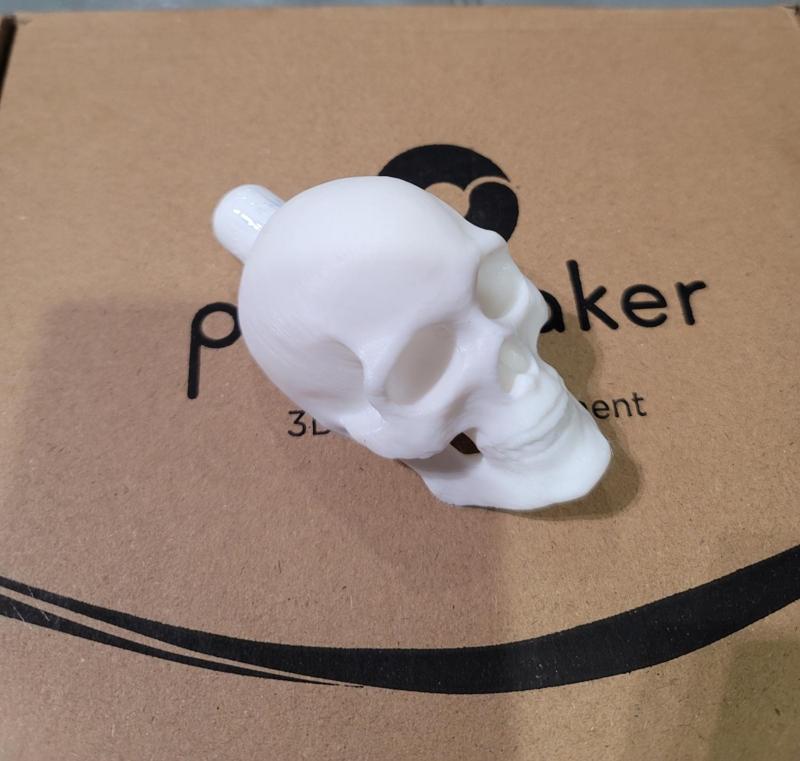 SKULL BOBBLE for ACORN LINK SYSTEM