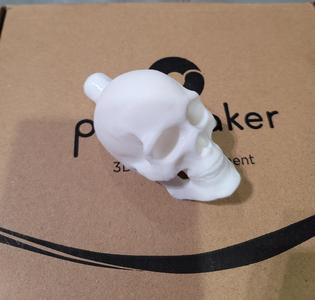 SKULL BOBBLE for ACORN LINK SYSTEM