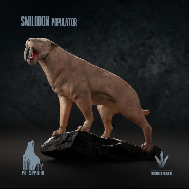 Smilodon populator : Looking over his territory