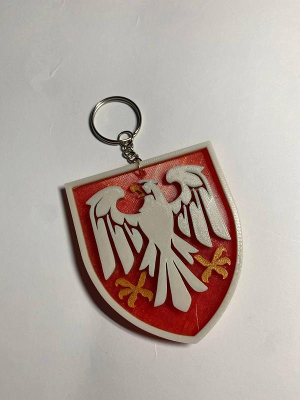 Patch of the 82nd Separate Air Assault Brigade.