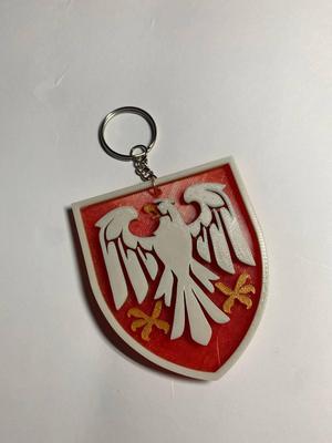 Patch of the 82nd Separate Air Assault Brigade.