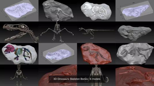 3D Dinosaurs Skeleton Bones 3D Model Collection