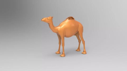 Camel