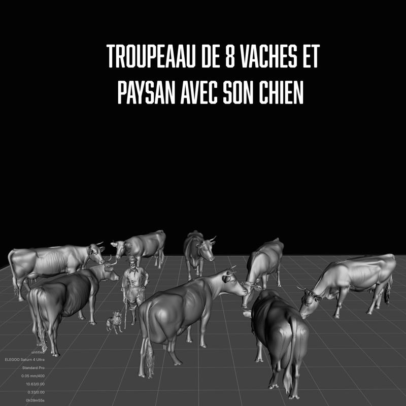 Lot 13 - Herd of 8 cows with farmer and his dog