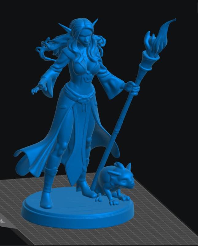 Elf Warlock Female 3