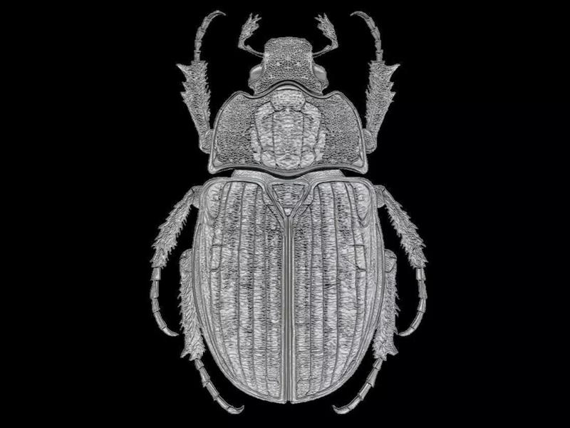 Scarab Beetle Sculpture