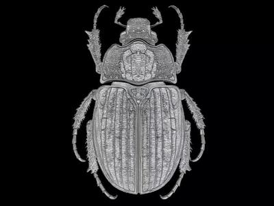 Scarab Beetle Sculpture