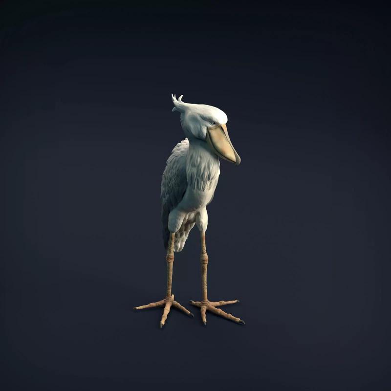 Shoebill for 3D Printing