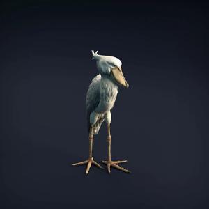 Shoebill for 3D Printing