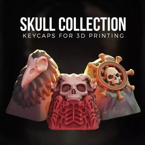 Skull collection