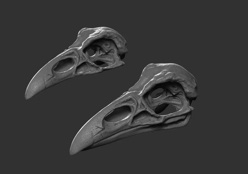 Raven Skull