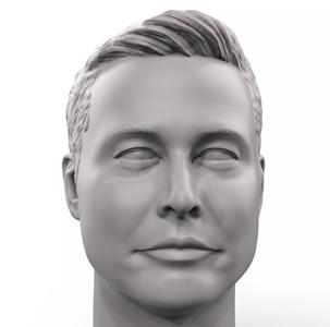 Elon Musk 3D printable portrait sculpture