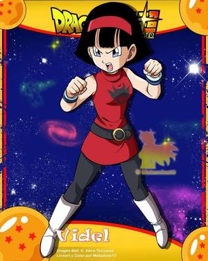 VIDEL DBS